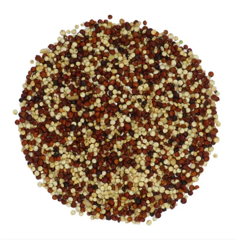 Pirate Mike's - Quinoa 4-color - 13 oz. (0.37 kg.)