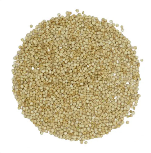 Pirate Mike's - Quinoa White - 12 oz. (0.34 kg.)